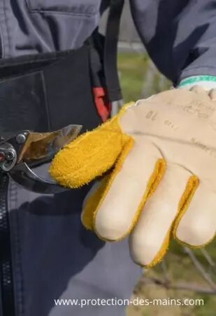 Gants de taille pour sécateur électrique - Protection sur main gauche (la paire)