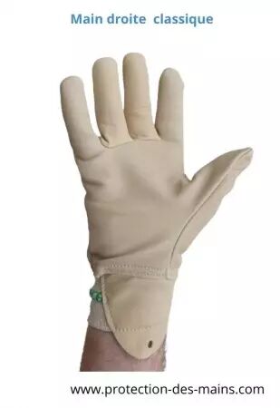 Gants de taille pour sécateur électrique - Protection sur main gauche (la paire)